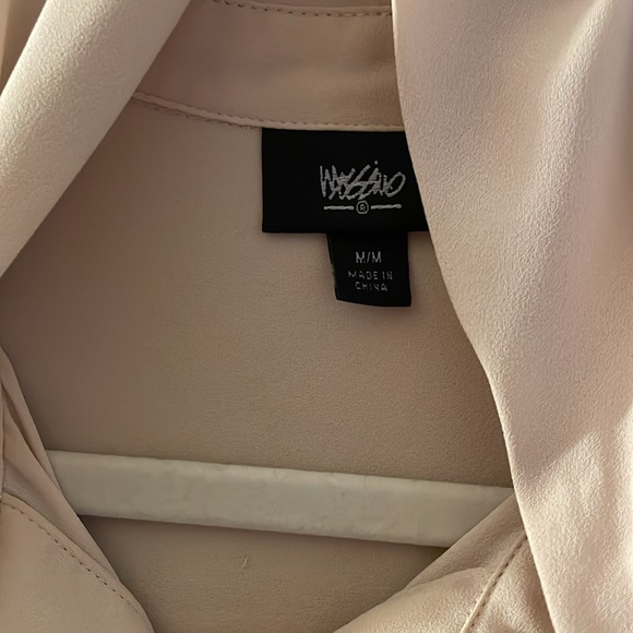 Light Pink Sheer Button Down Blouse - Picture 4 of 6